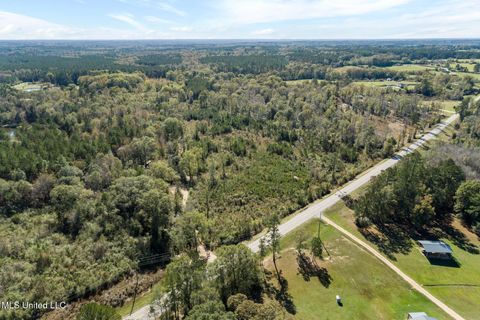Vacant Land For Sale - 111 Ms-44<br/> Lamar County, Sumrall, MS 39482