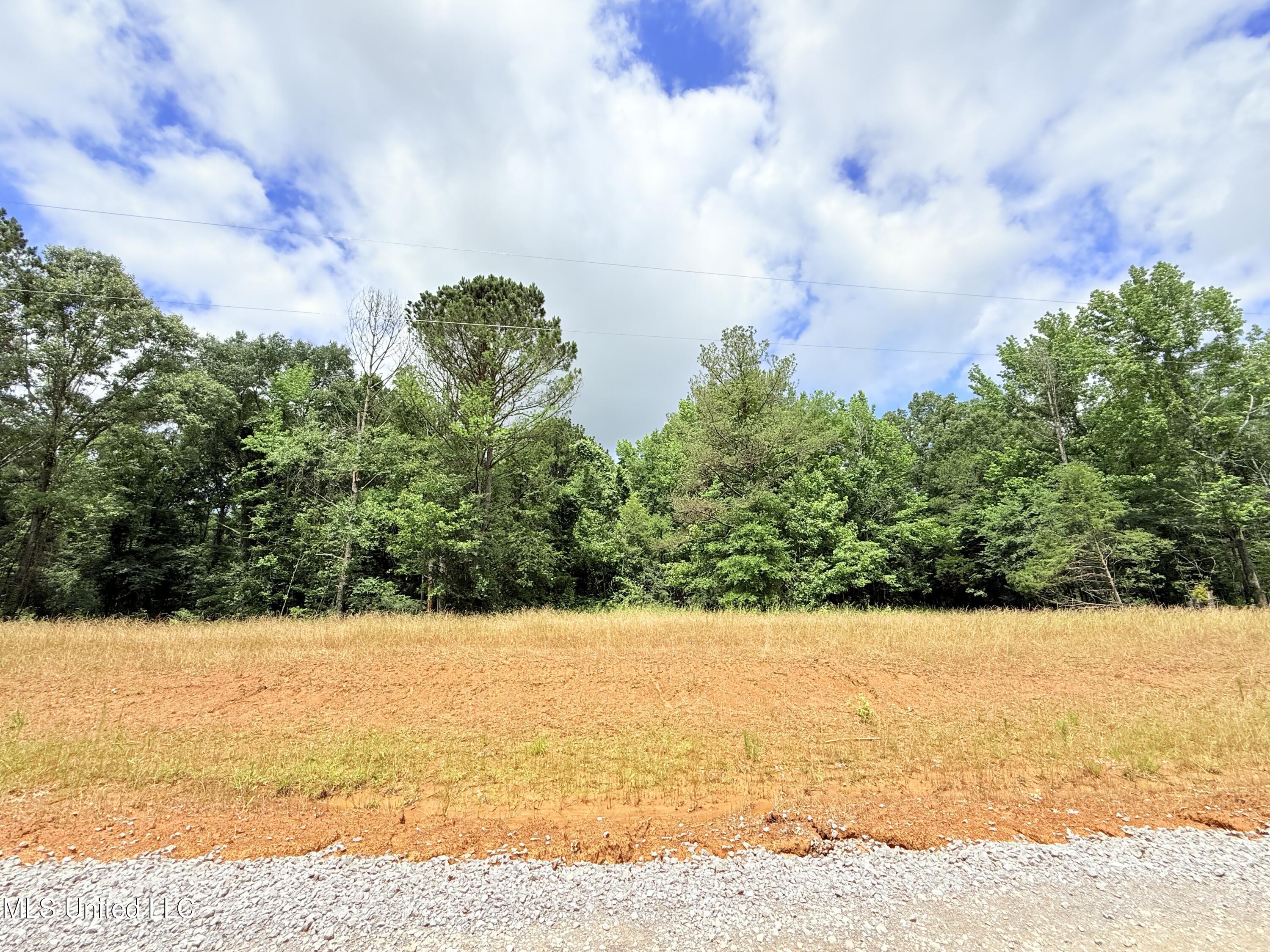 Stout Meadows Lane, Madison, Mississippi image 17