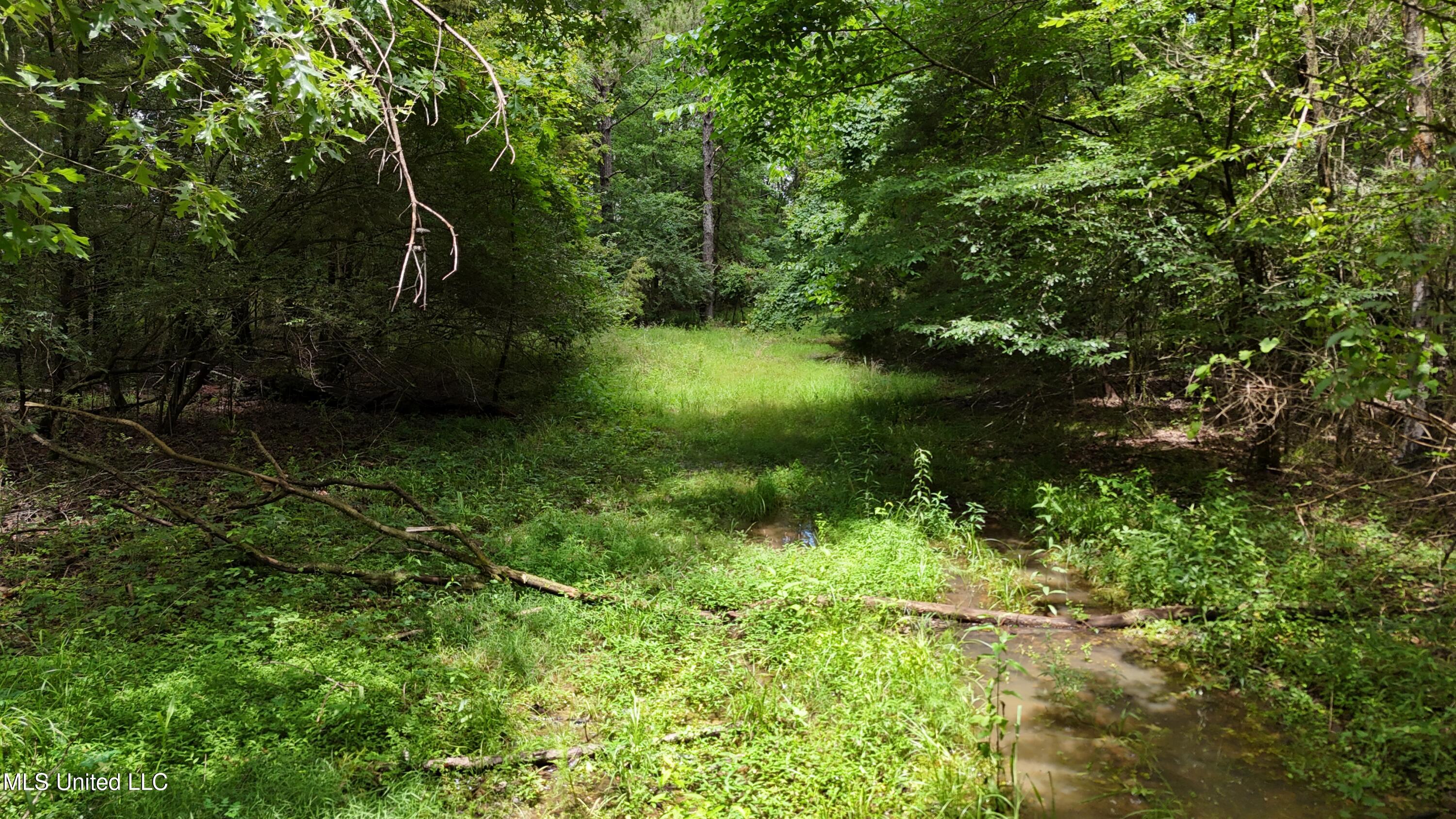 Stout Meadows Lane, Madison, Mississippi image 5