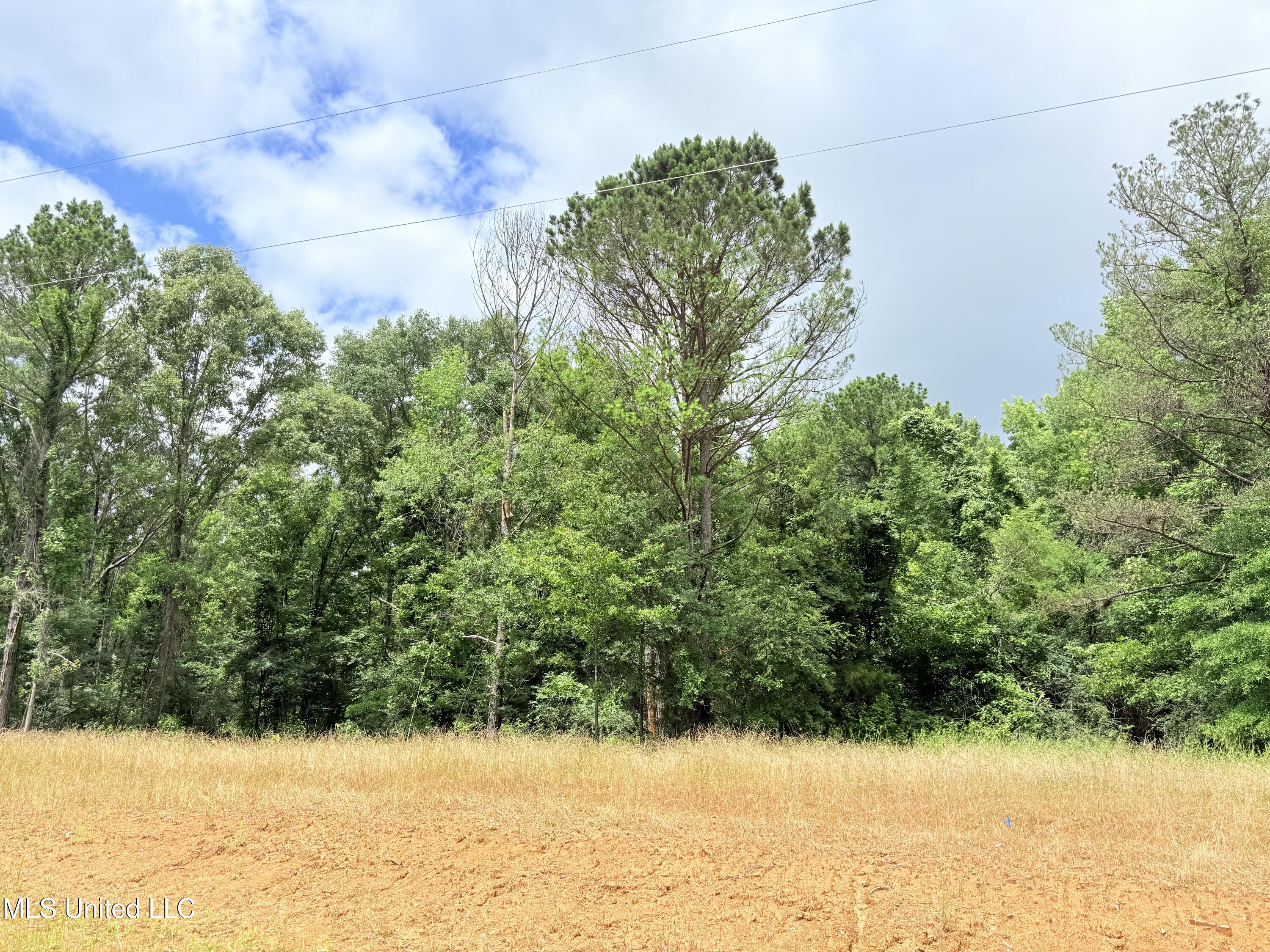 Stout Meadows Lane, Madison, Mississippi image 14