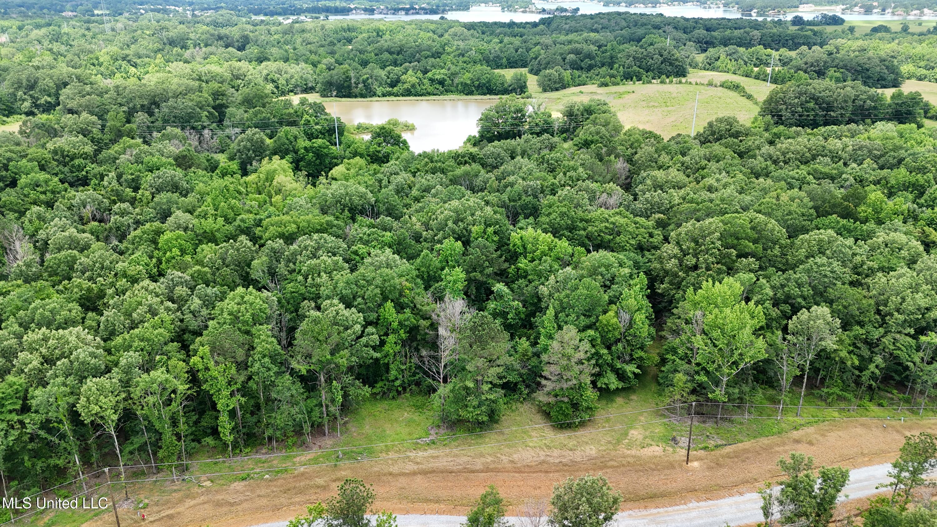 Stout Meadows Lane, Madison, Mississippi image 3