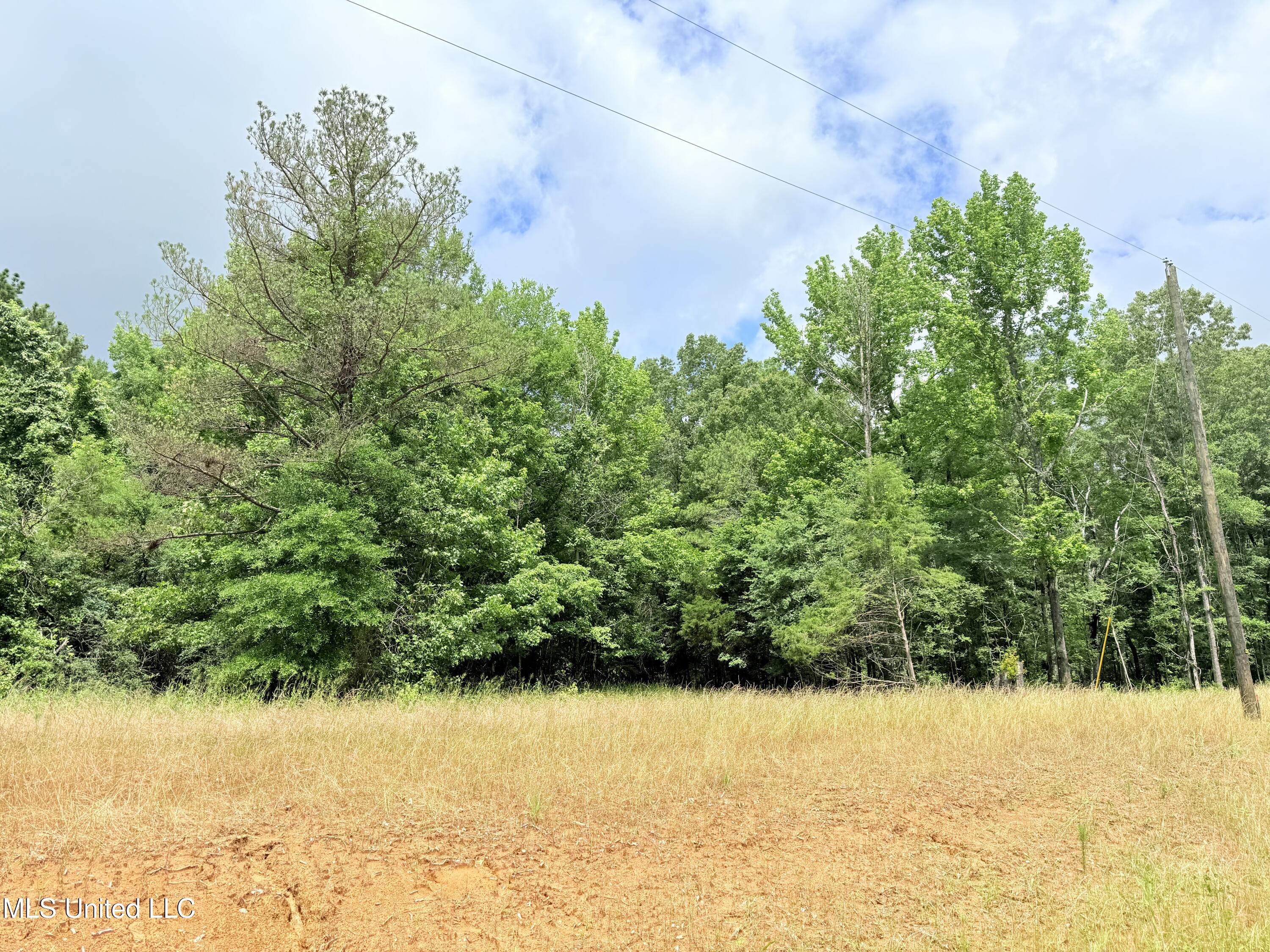 Stout Meadows Lane, Madison, Mississippi image 15