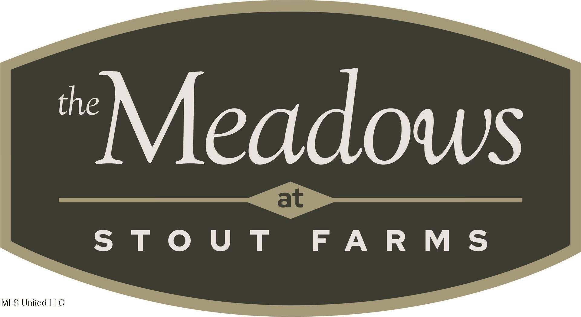 Stout Meadows Lane, Madison, Mississippi image 18