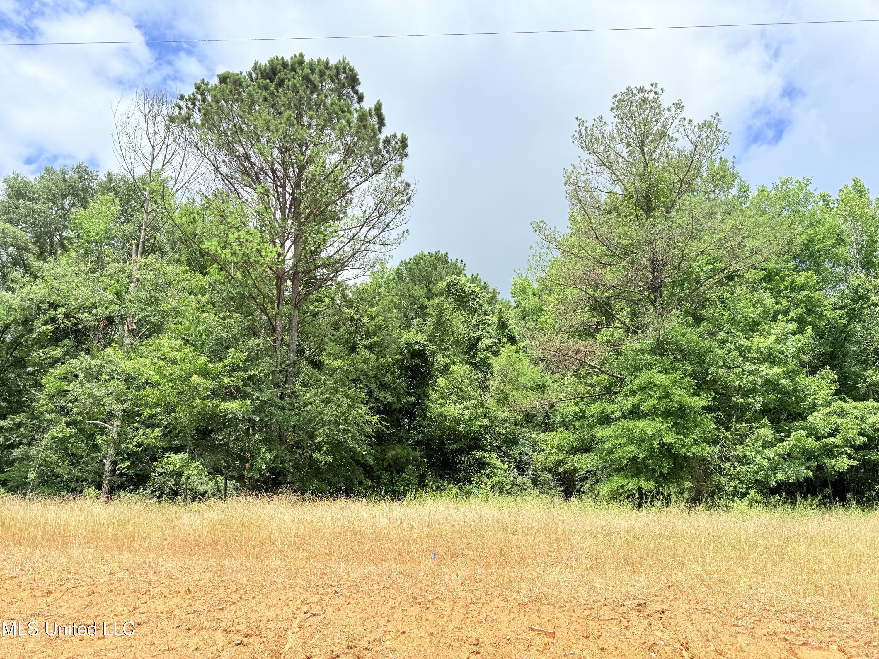 Stout Meadows Lane, Madison, Mississippi image 16