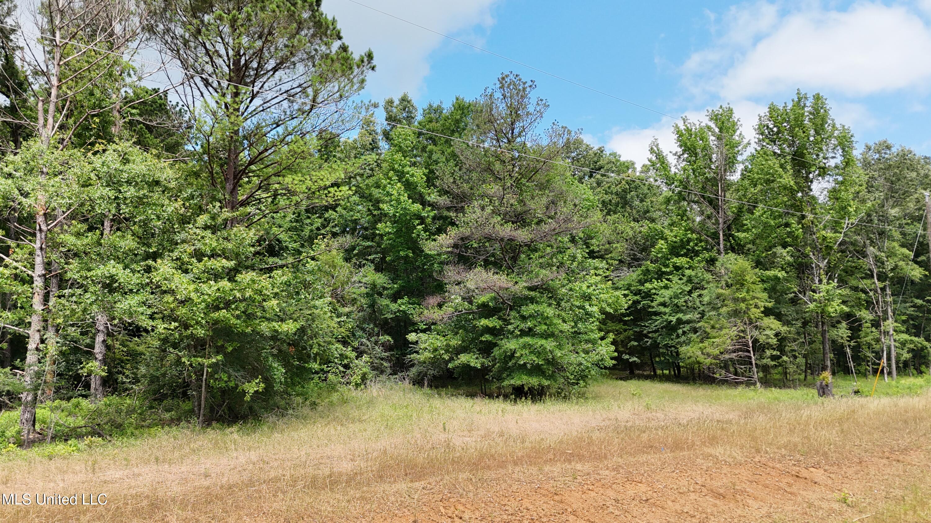 Stout Meadows Lane, Madison, Mississippi image 4