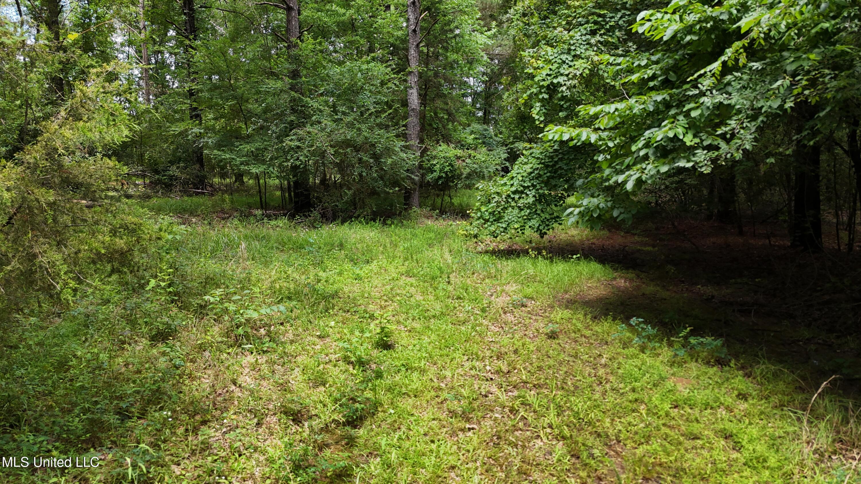 Stout Meadows Lane, Madison, Mississippi image 1