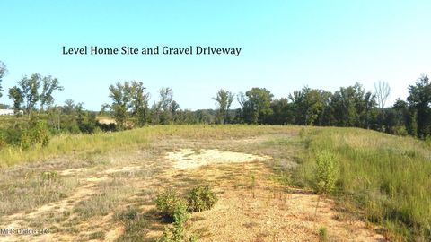 Vacant Land For Sale - 85 Storm Cove<br/> Grenada County, Grenada, MS 38901