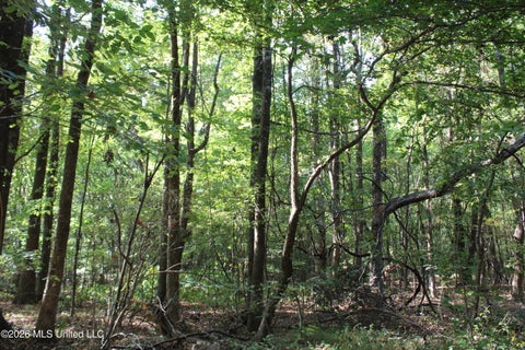 Vacant Land For Sale - 7 Star Landing Road<br/> Nesbit, MS 38651