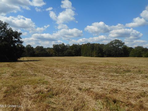 Vacant Land For Sale - Myrleville Road<br/> Yazoo County, Yazoo City, MS 39194