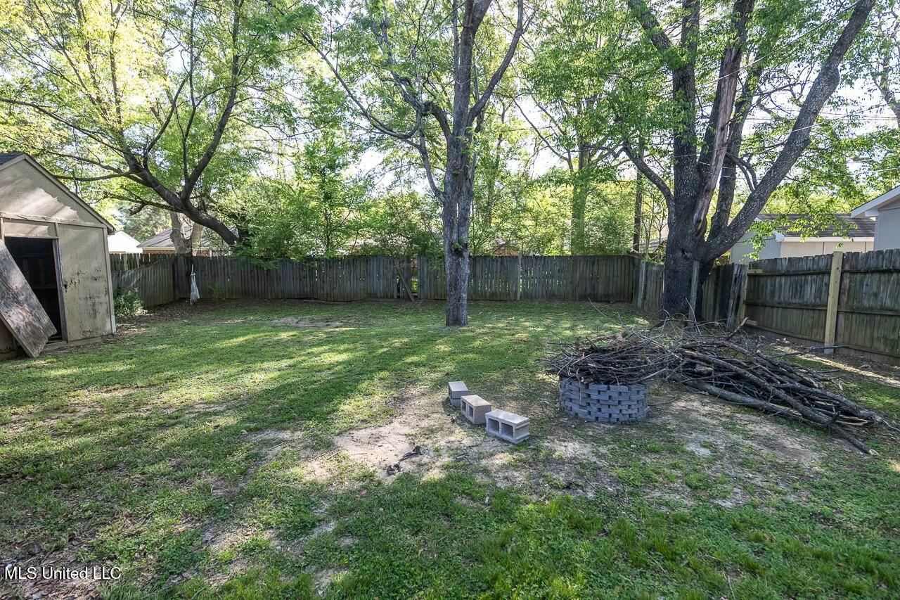 8422 Cedarbrush Drive, Southaven, Mississippi image 30