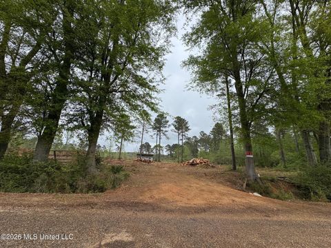 Vacant Land For Sale - LOT 6 Dinan Salem Road<br/> Walthall County, Tylertown, MS 39667