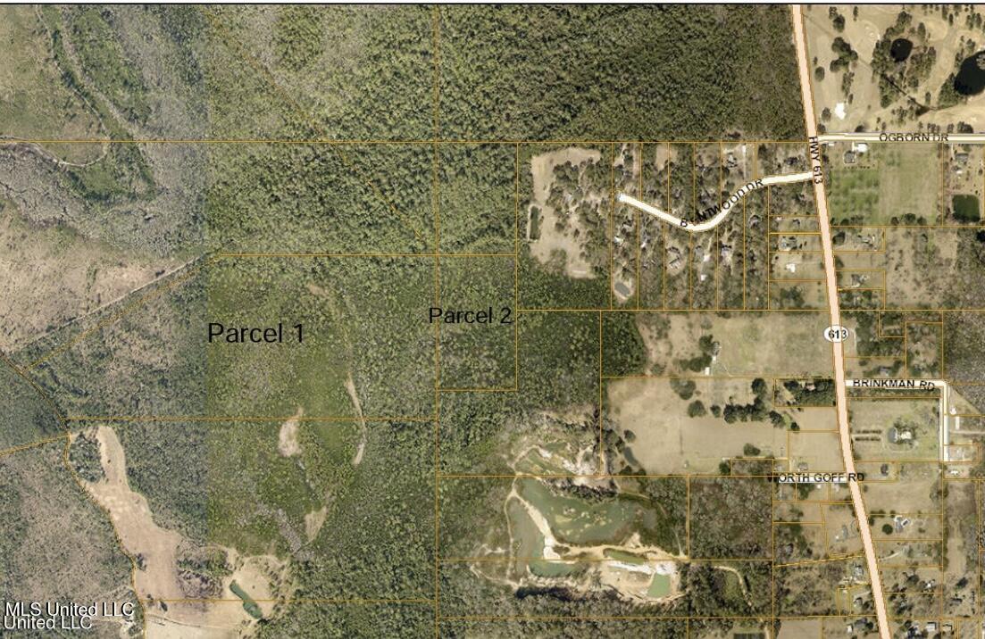 Grafe Homestead Road, Moss Point, Mississippi image 1