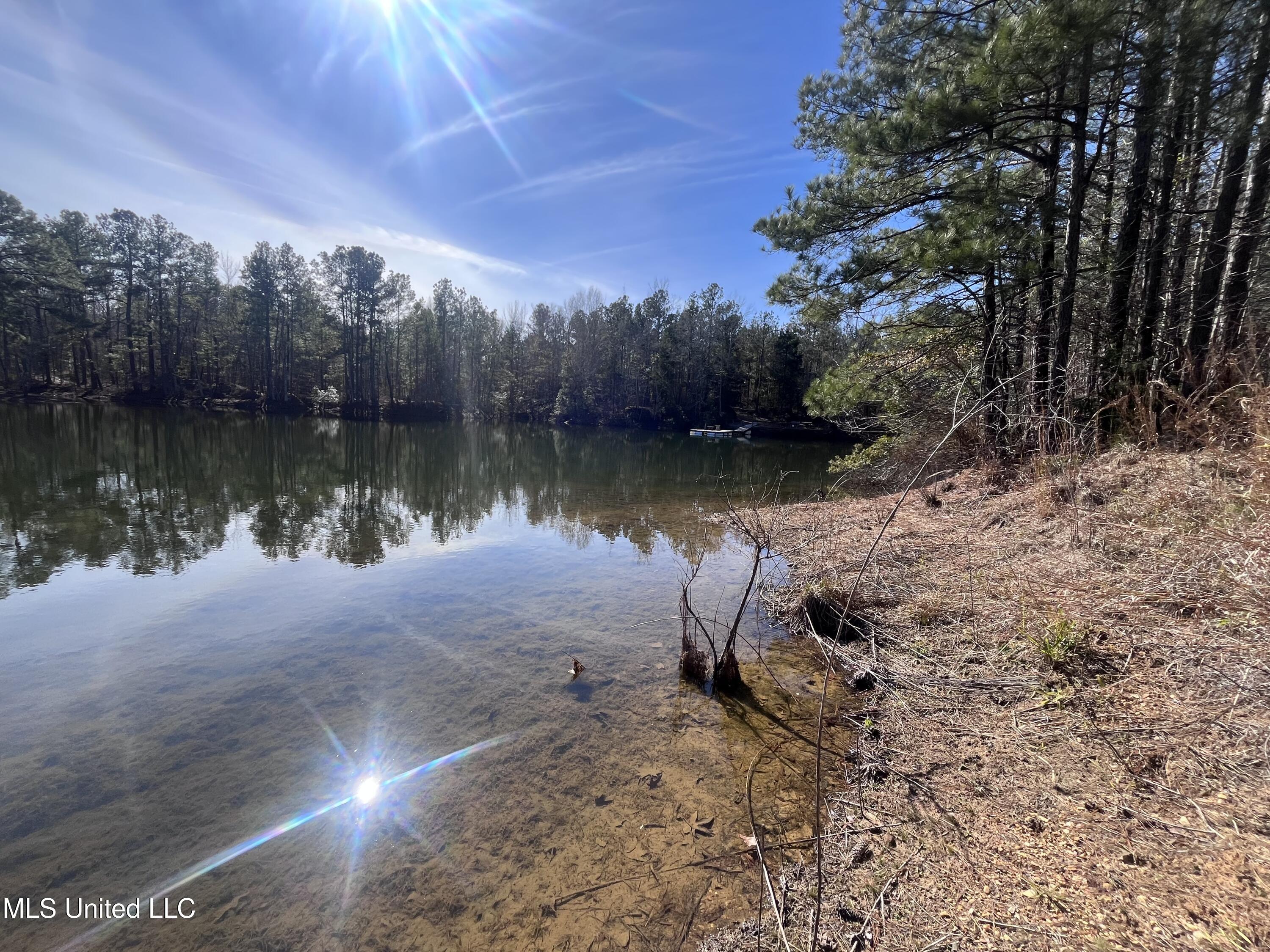 21022a Hwy 27, Crystal Springs, Mississippi image 8