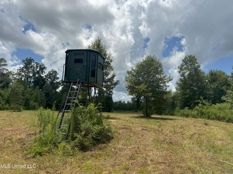 Vacant Land For Sale - Beltline Drive<br/> Brookhaven, MS 39601