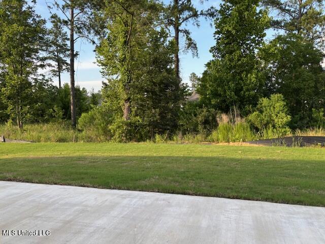 108 Hutto Lane, Madison, Mississippi image 2