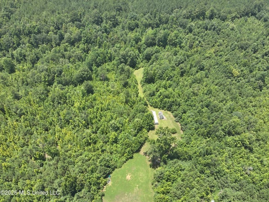 53 HWY 43, CAMDEN, MS 39045 - Image b68cc95dfcf68d83bbc68b717b259270/144646944