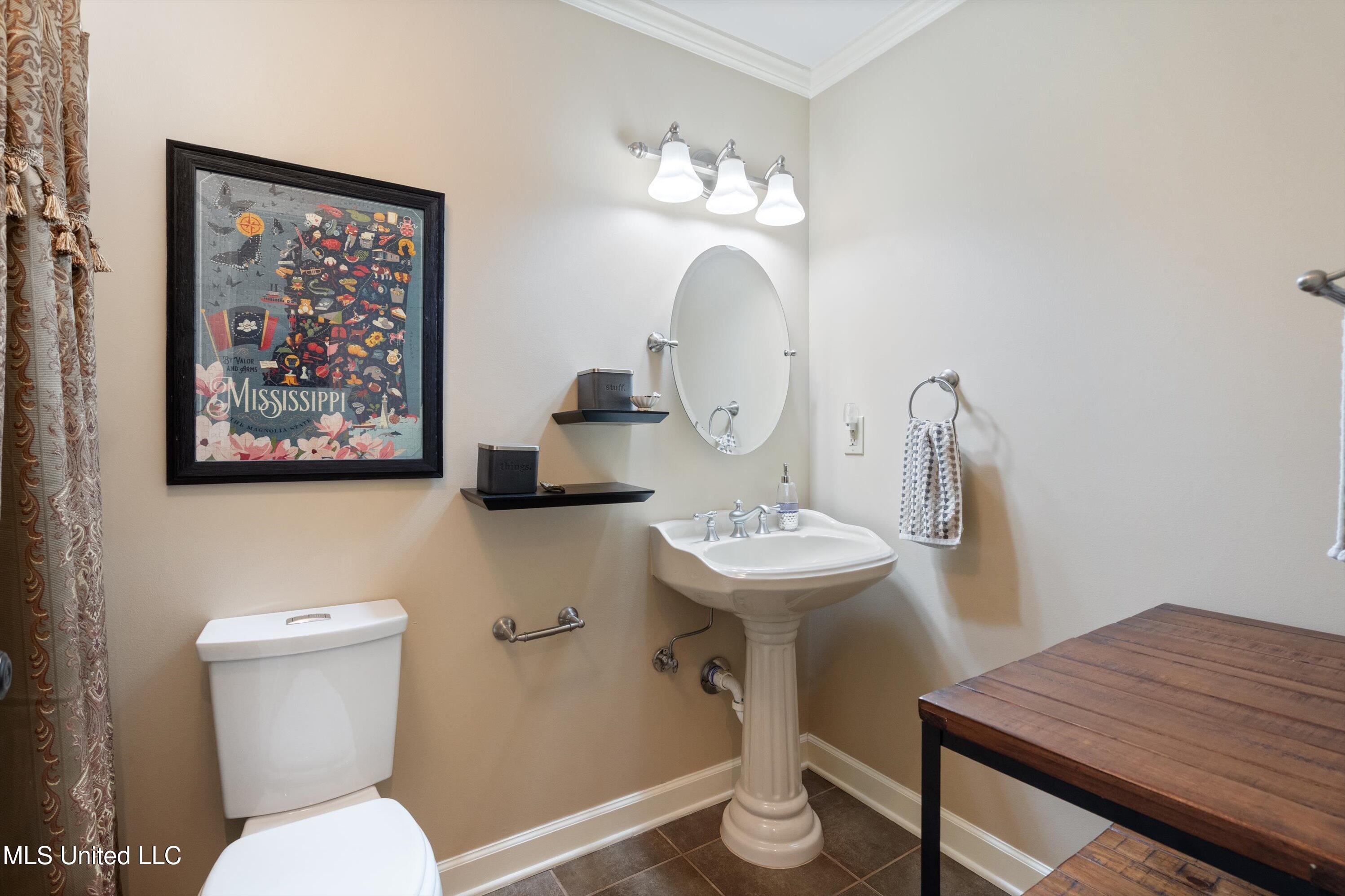 7300 W Shahkoka Drive, Olive Branch, Mississippi image 27