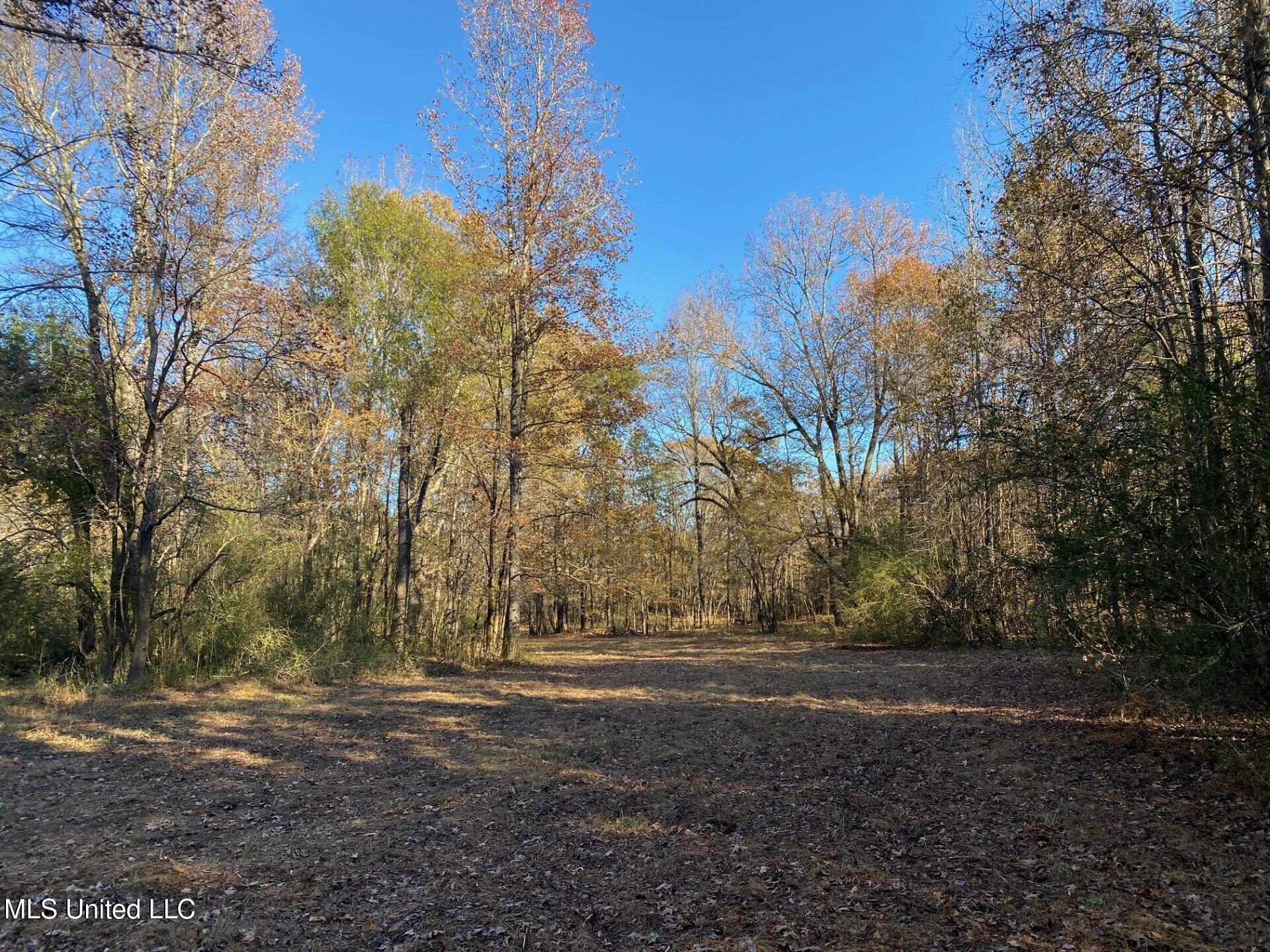 2085 Yellowdog Road, Senatobia, Mississippi image 9