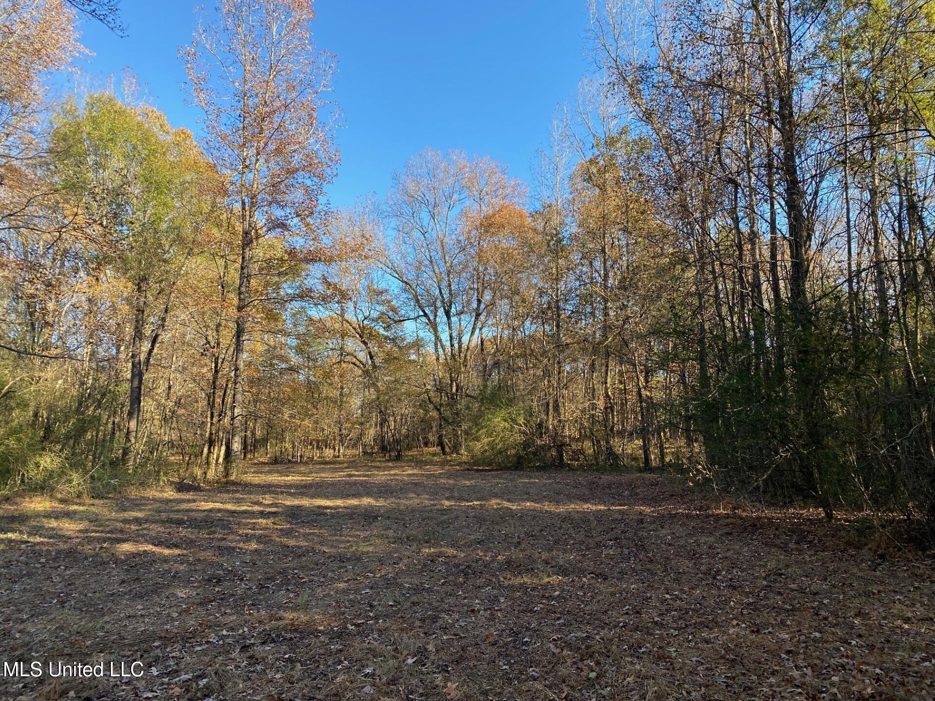 2085 Yellowdog Road, Senatobia, Mississippi image 8