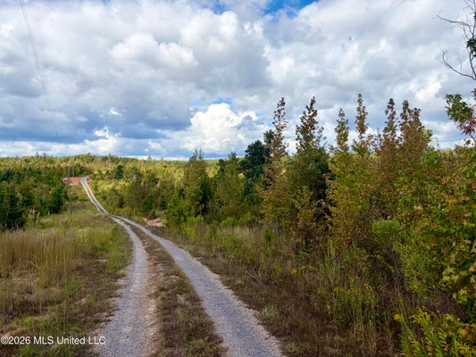 COUNTY RD 3027, KOSCIUSKO, MS 39090 - Image b6c826142fdf87404940ada61cafddca/367182789