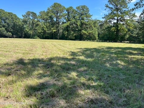 Vacant Land For Sale - Marcus Mitchell Road<br/> Pearl River County, Picayune, MS 39466