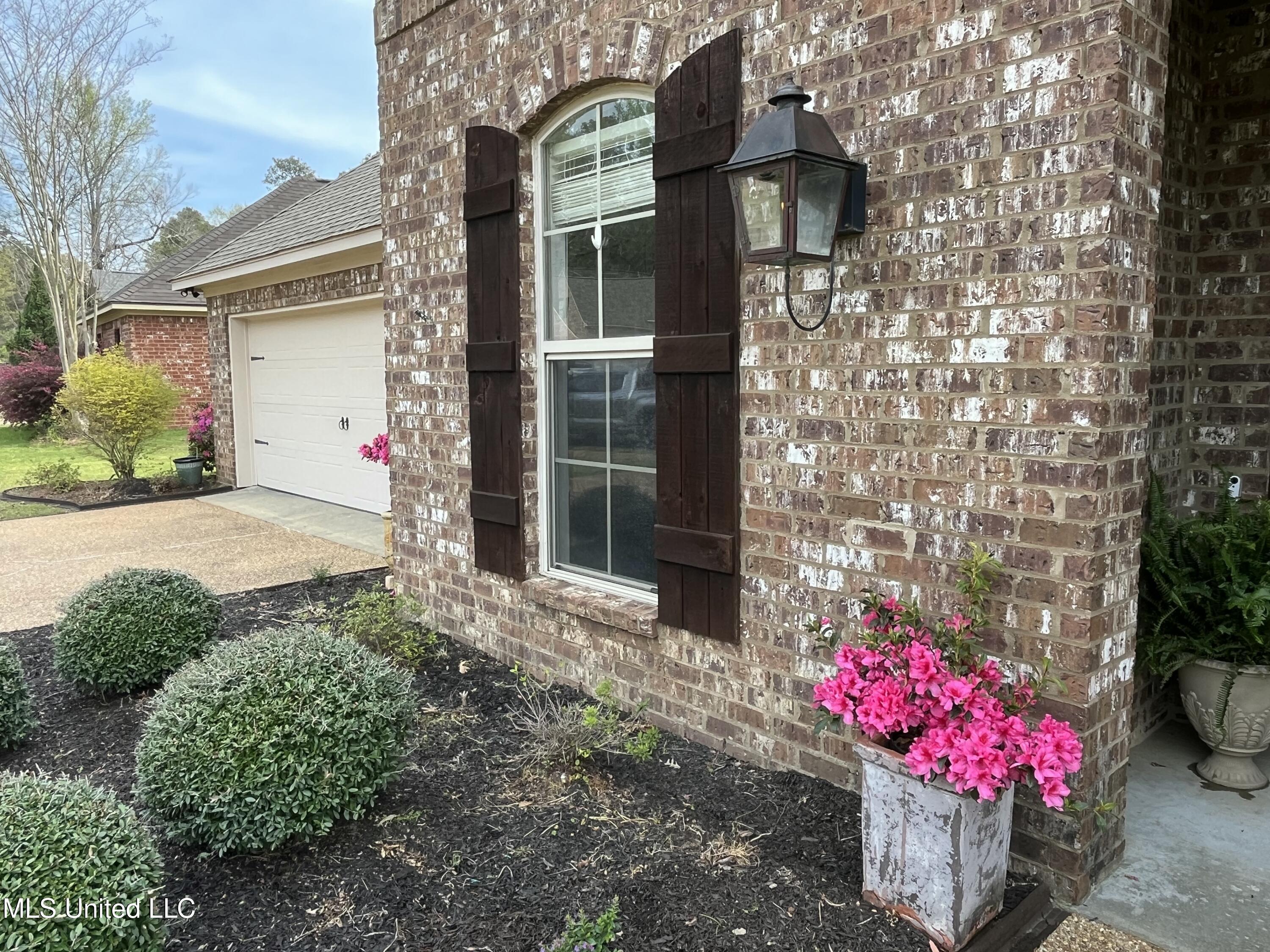 408 Bridgestone Place, Florence, Mississippi image 5