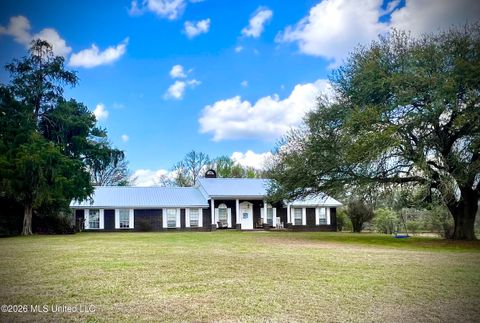 Homes For Sale - 7071 Hamp Lea Road<br/> Amite County, Magnolia, MS 39652