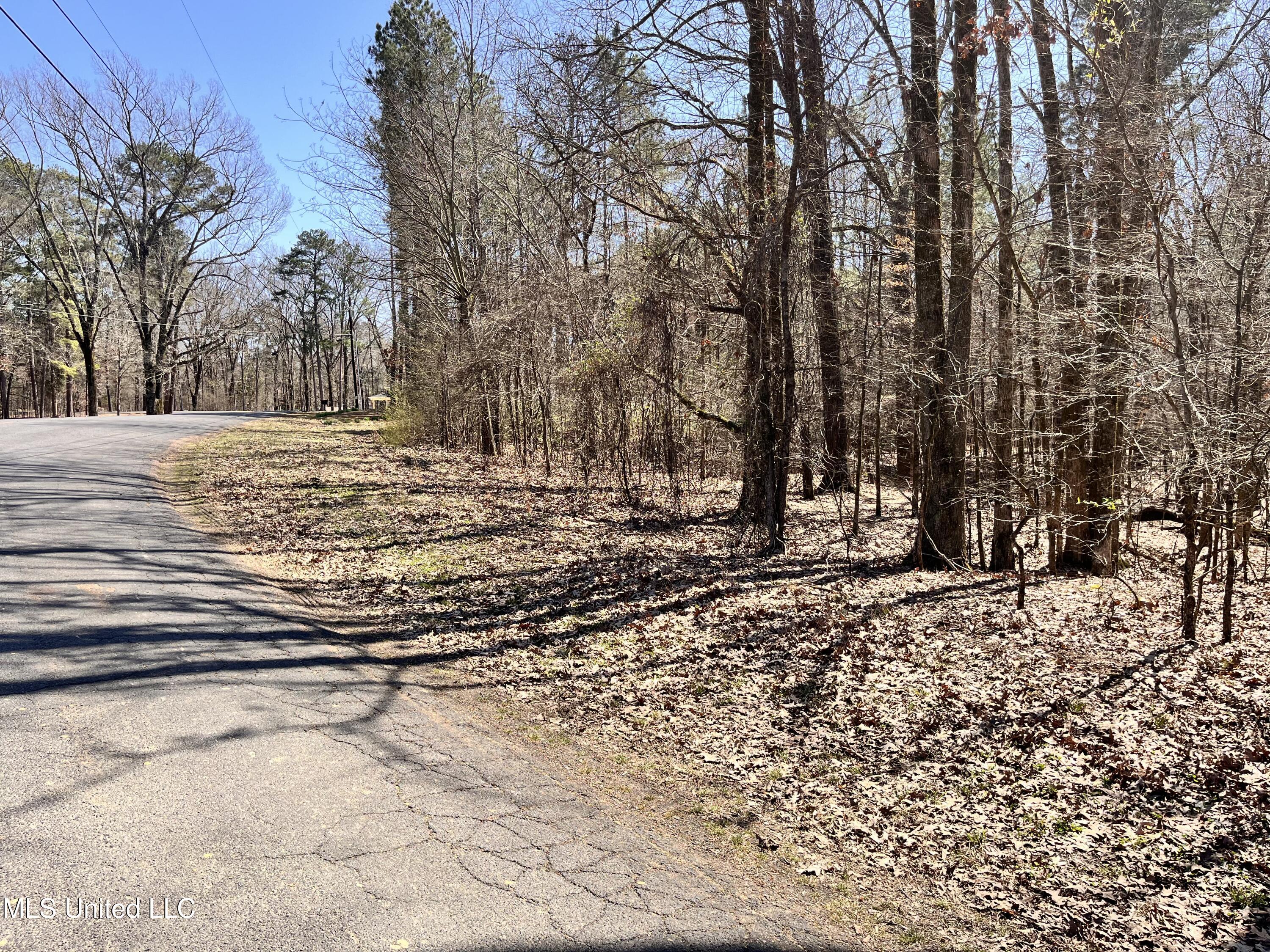 6121 Pleasant Hill Drive, Hernando, Mississippi image 5
