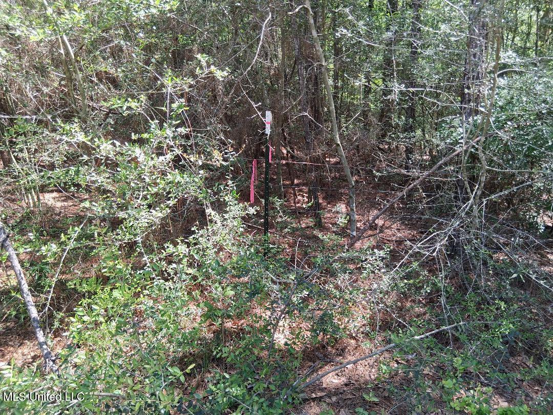 Ben Pierce, Lucedale, Mississippi image 13