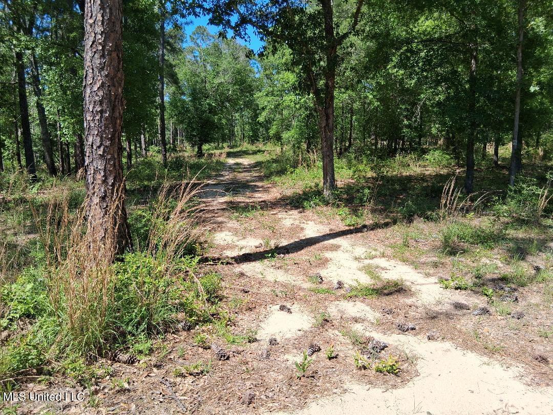 Ben Pierce, Lucedale, Mississippi image 2