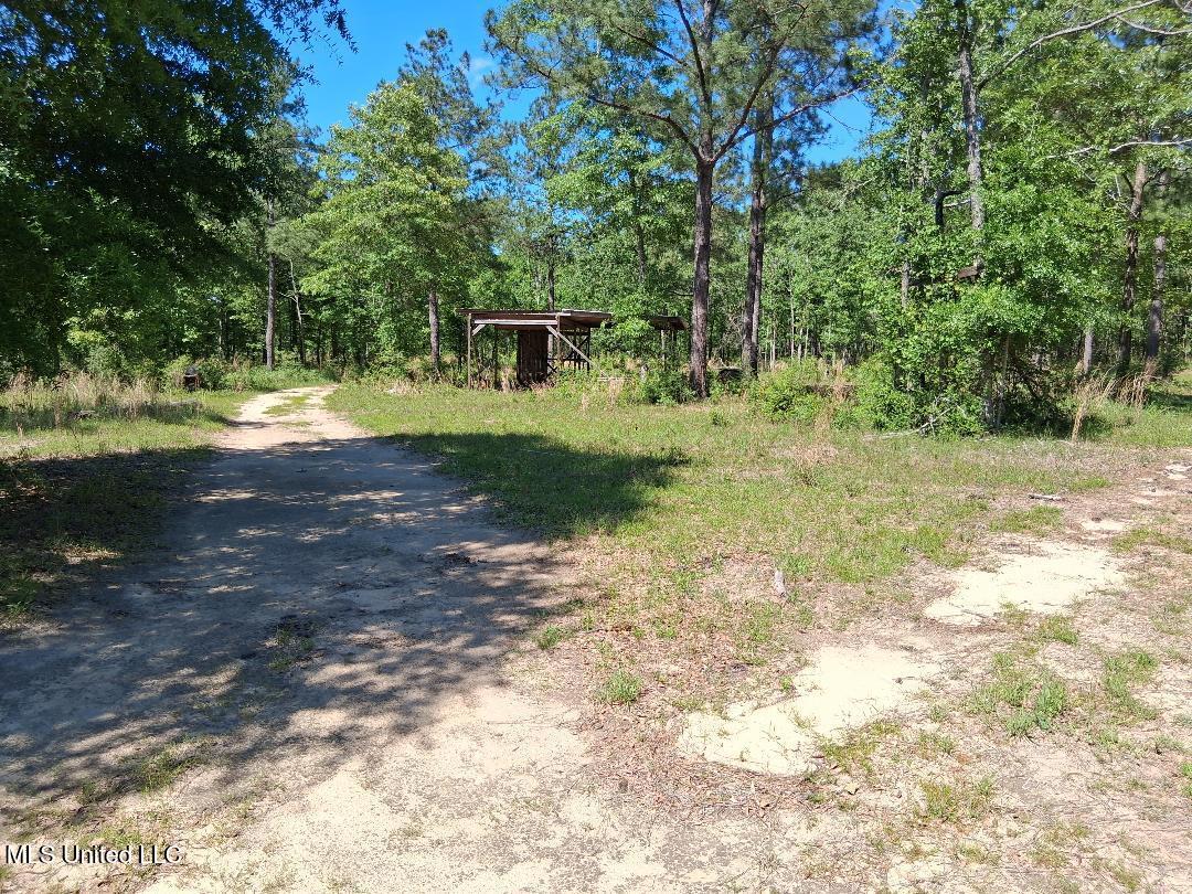 Ben Pierce, Lucedale, Mississippi image 10