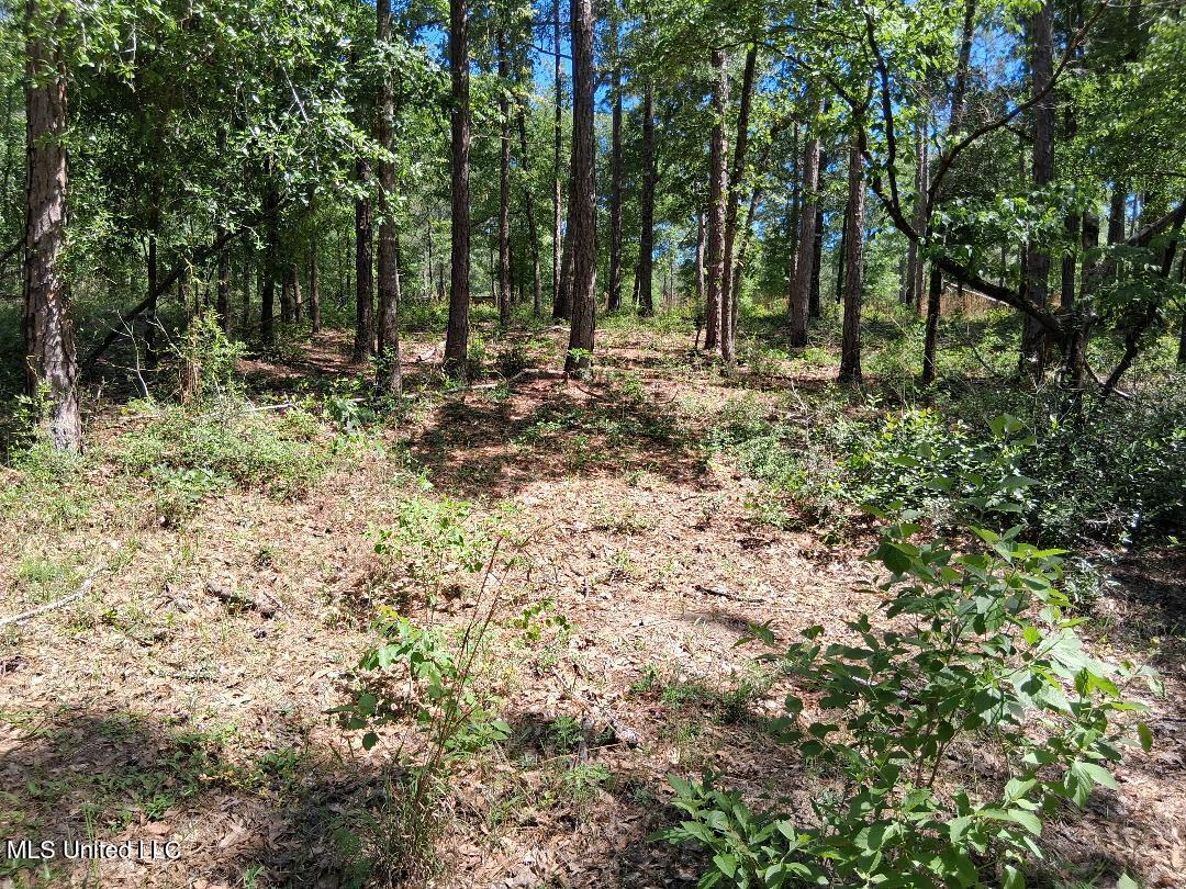 Ben Pierce, Lucedale, Mississippi image 15