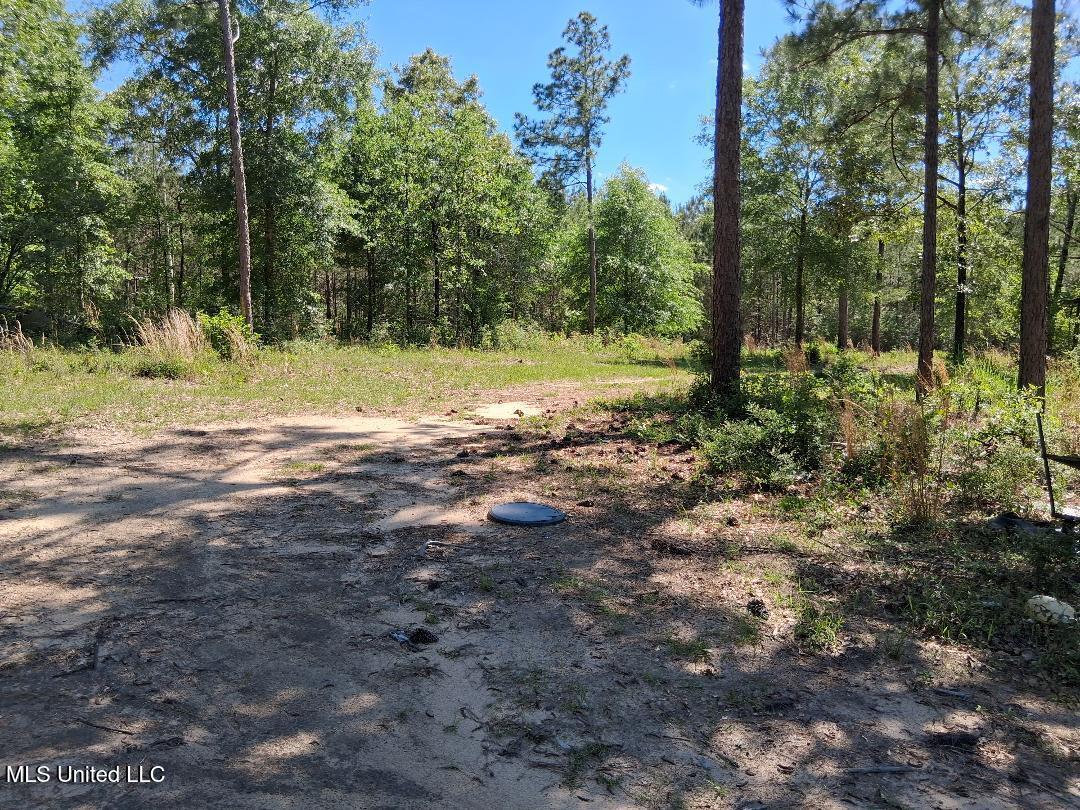 Ben Pierce, Lucedale, Mississippi image 9