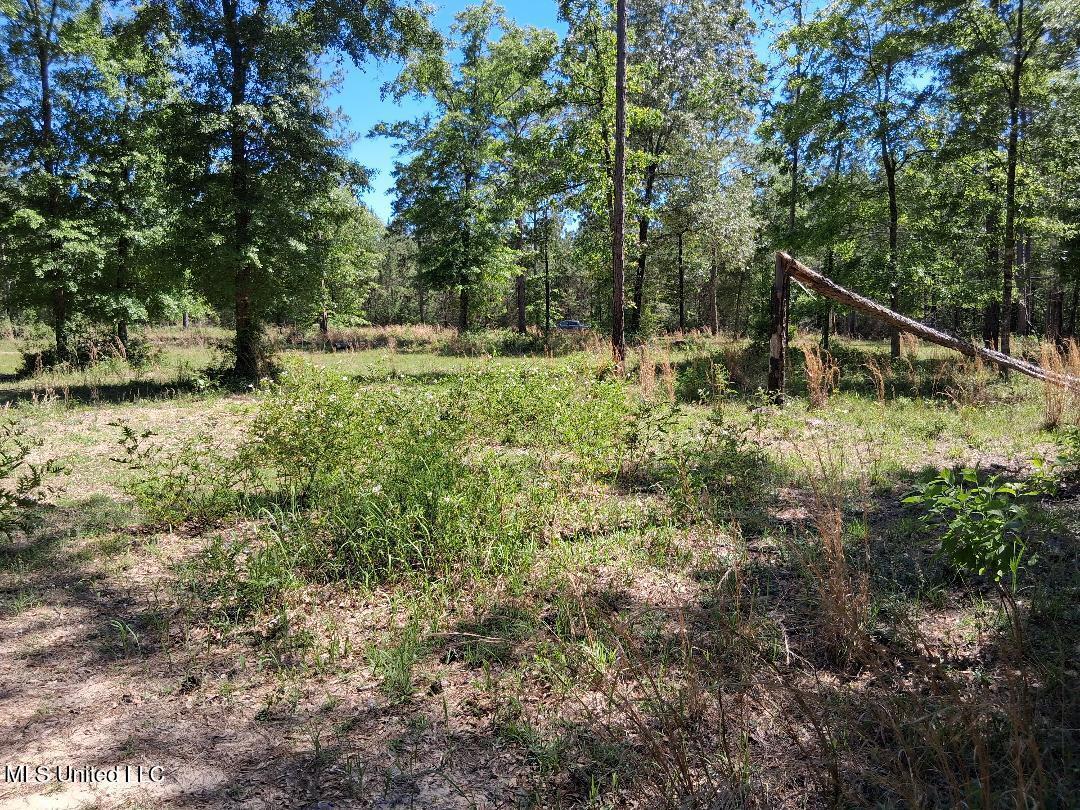 Ben Pierce, Lucedale, Mississippi image 16