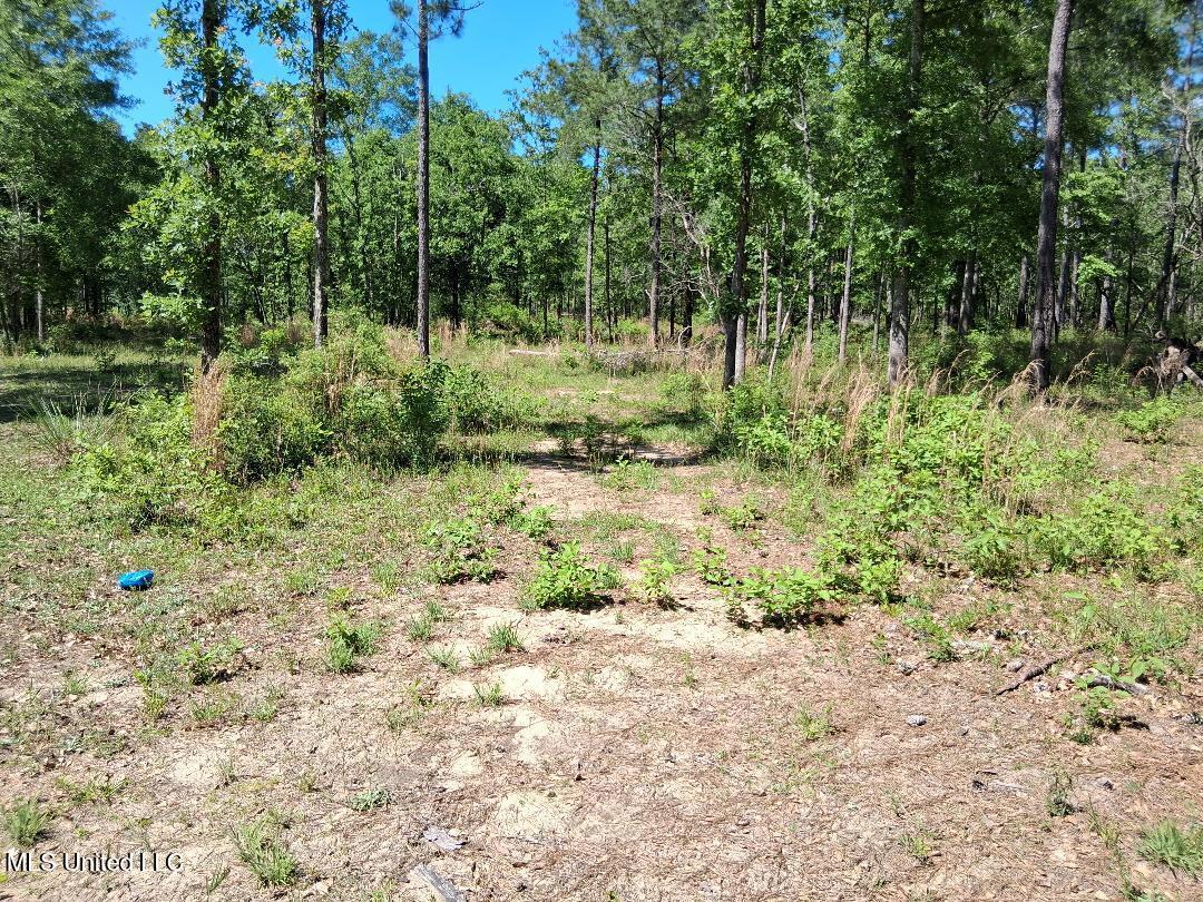 Ben Pierce, Lucedale, Mississippi image 7