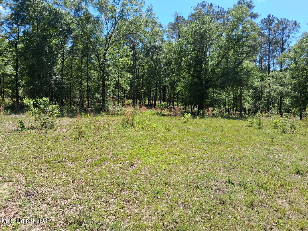 Ben Pierce, Lucedale, Mississippi image 14