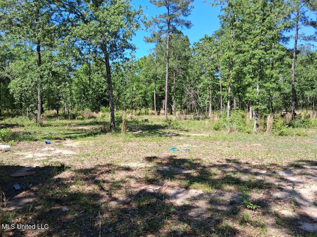 Ben Pierce, Lucedale, Mississippi image 6