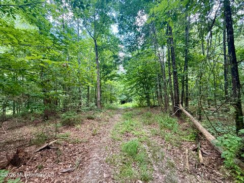 Vacant Land For Sale - Chisholm Drive<br/> Lincoln County, Bogue Chitto, MS 39629