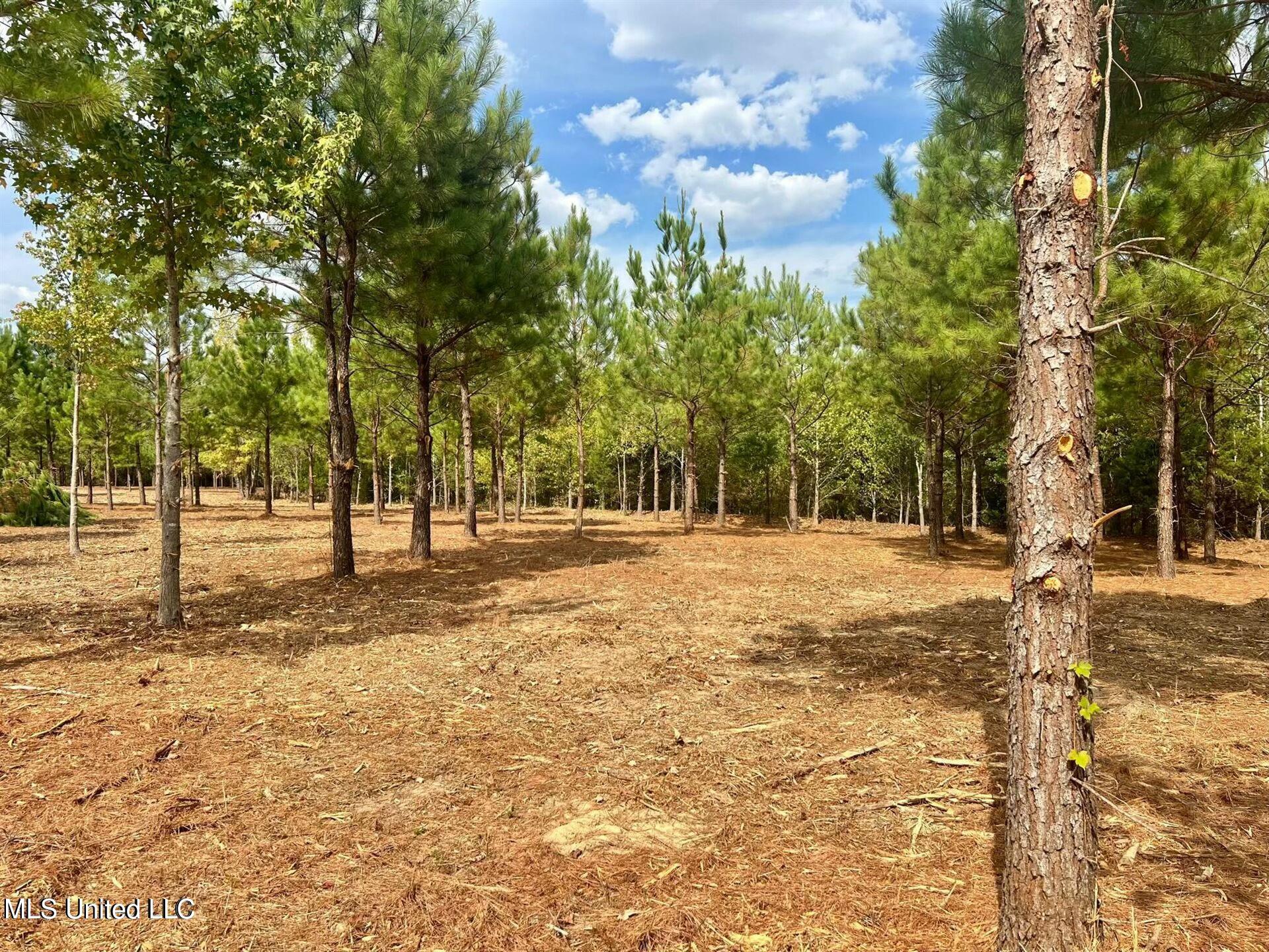 Stout Farms Drive, Madison, Mississippi image 7