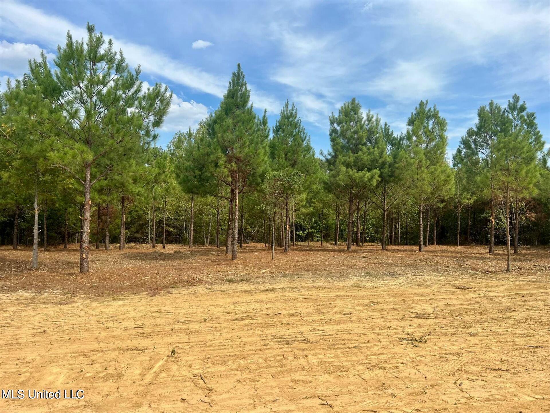 Stout Farms Drive, Madison, Mississippi image 3