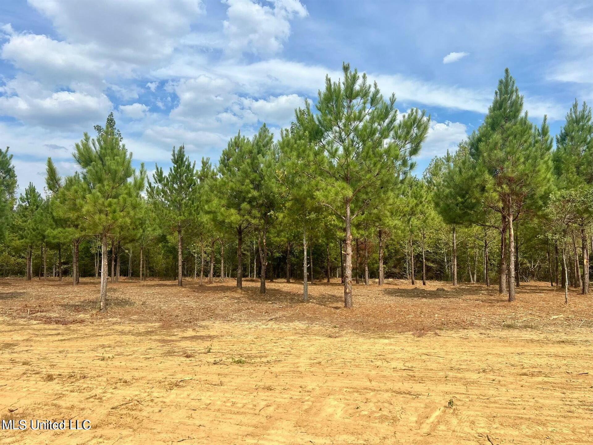 Stout Farms Drive, Madison, Mississippi image 9