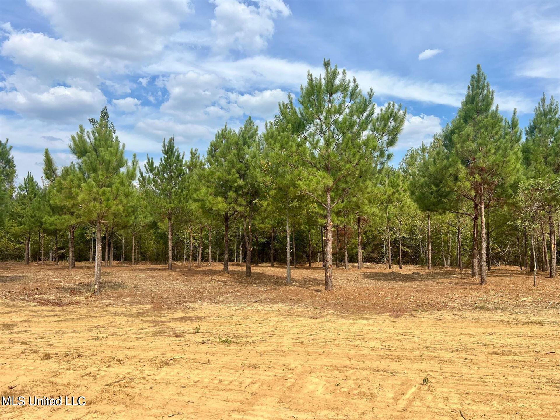 Stout Farms Drive, Madison, Mississippi image 1