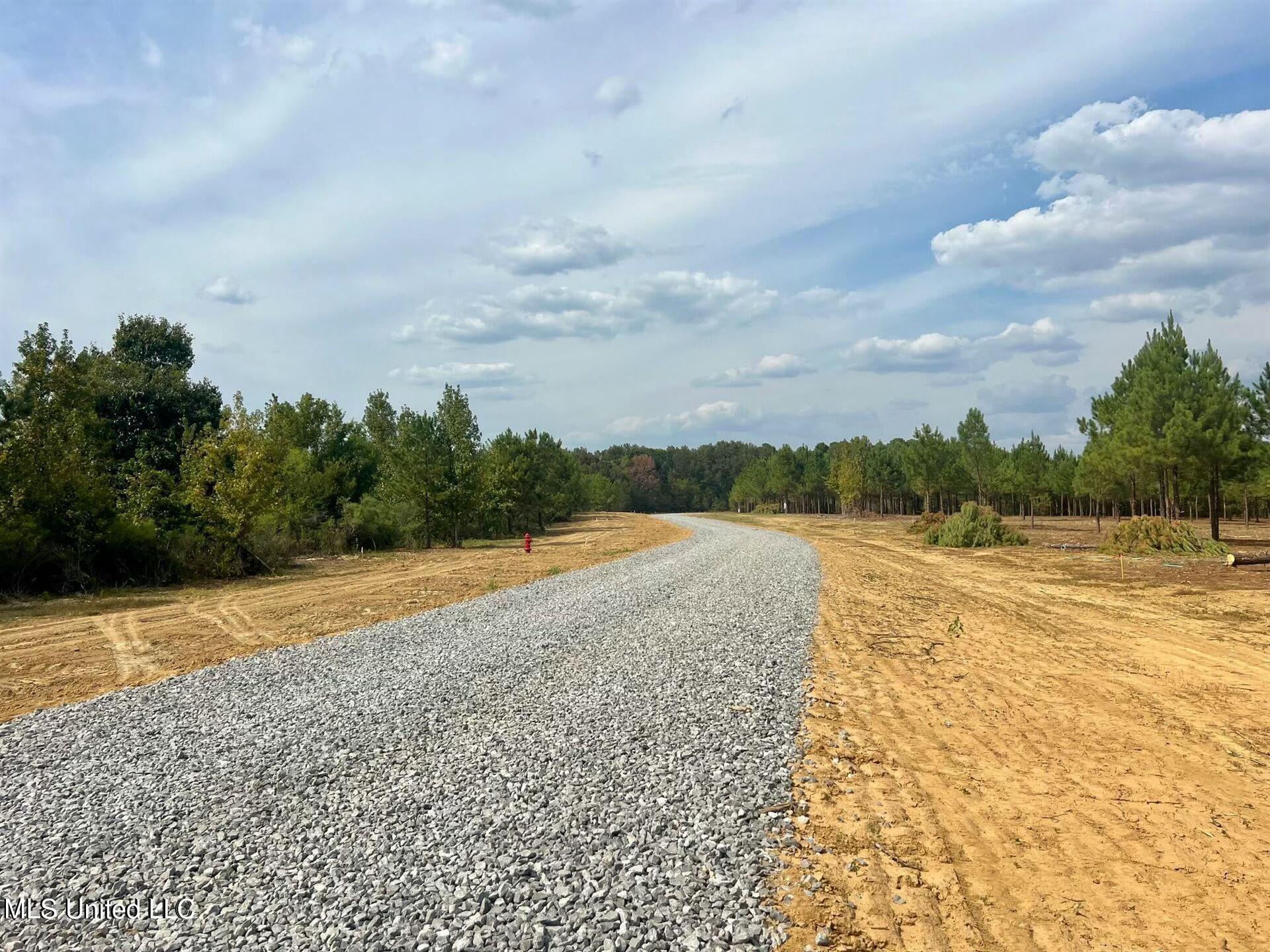 Stout Farms Drive, Madison, Mississippi image 5