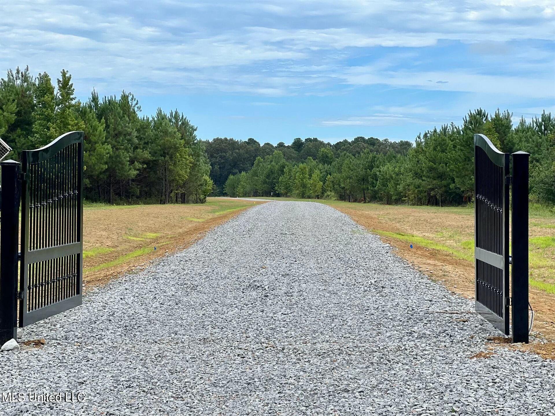 Stout Farms Drive, Madison, Mississippi image 4