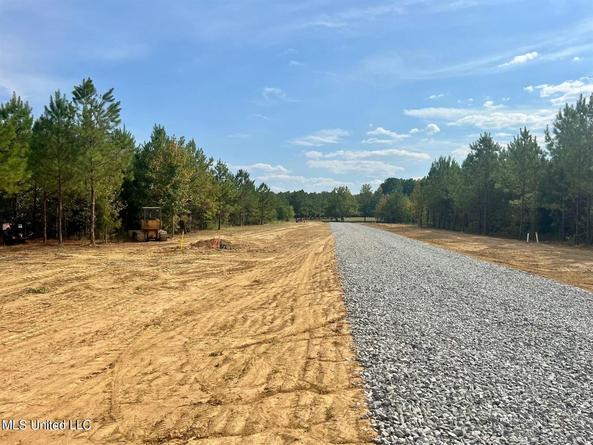 Stout Farms Drive, Madison, Mississippi image 6