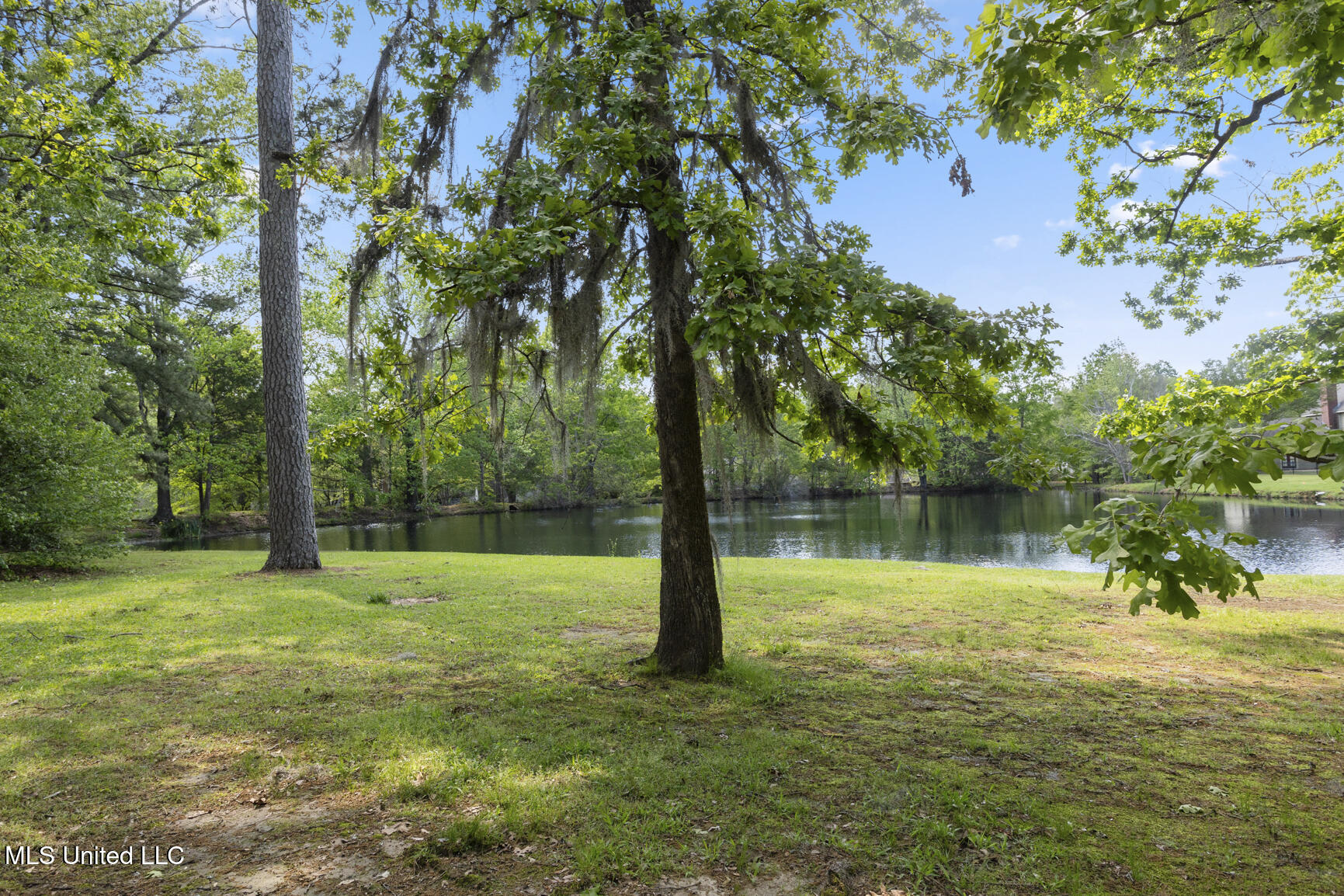 39 Moss Forest Circle, Jackson, Mississippi image 11