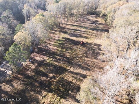 Vacant Land For Sale - 10787 Old Highway 24 Lane<br/> Wilkinson County, Woodville, MS 39669