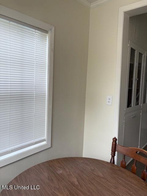 301 Hampton Street, Indianola, Mississippi image 17