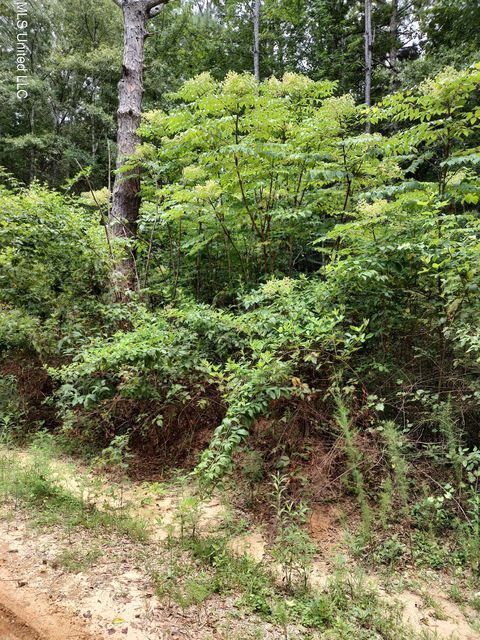 Vacant Land For Sale - NO Lakeshore Drive<br/> Lumberton, MS 39455