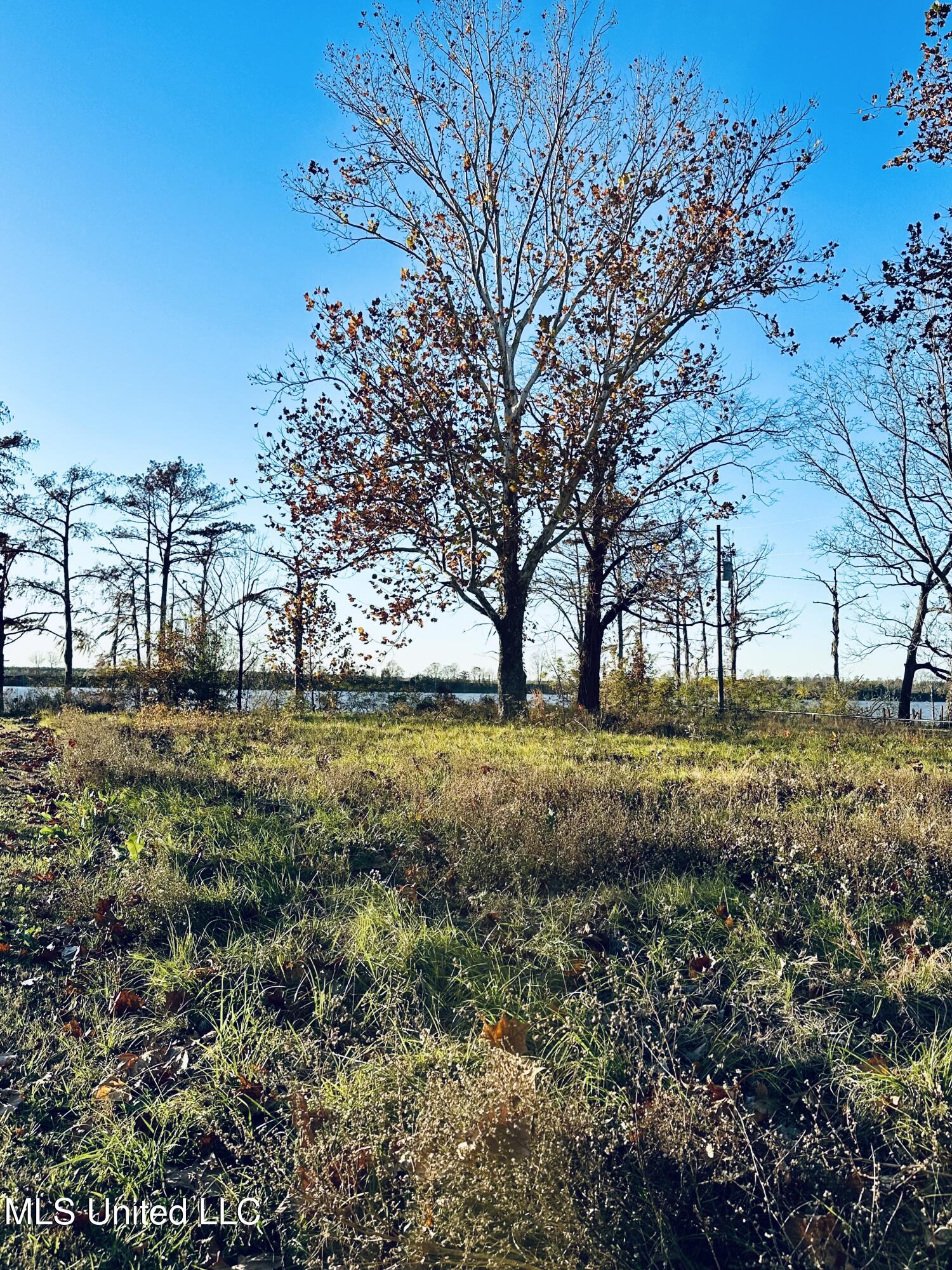 E/s Lake Mary Road, Woodville, Mississippi image 1